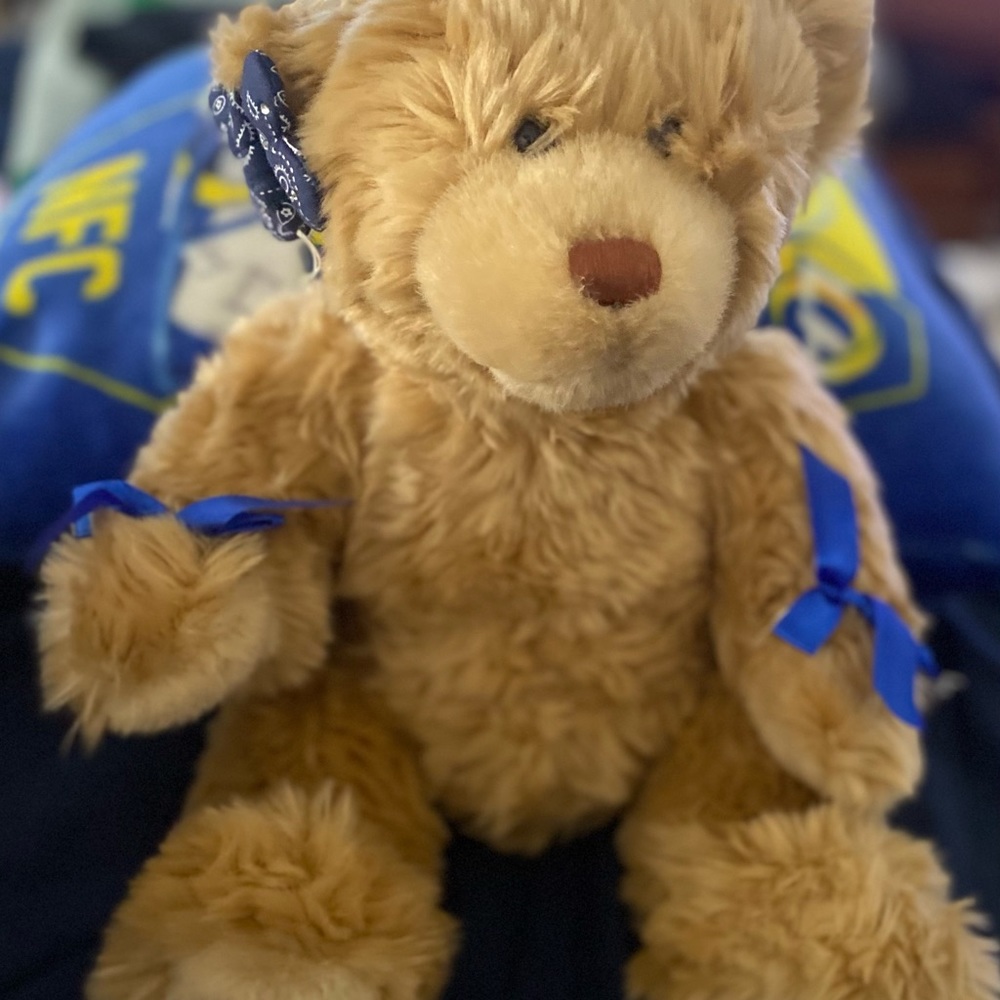 Like New!  Build-A-Bear